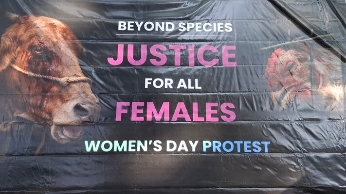 Women's Day event by Pune Animal Liberation - full size